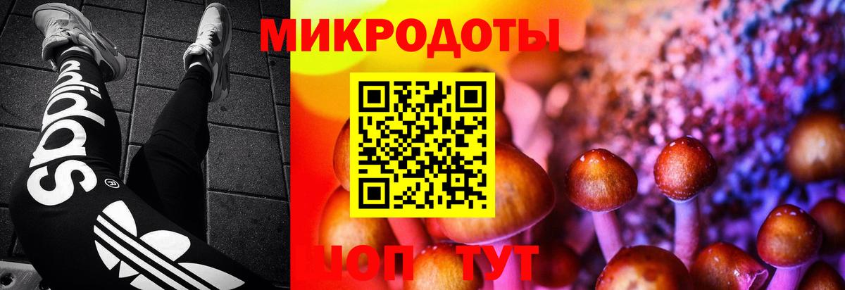 Полевской  Галлюциногенные грибы Psilocybe  Псилоцибиновые грибы мухоморы  Вход с VPN 
